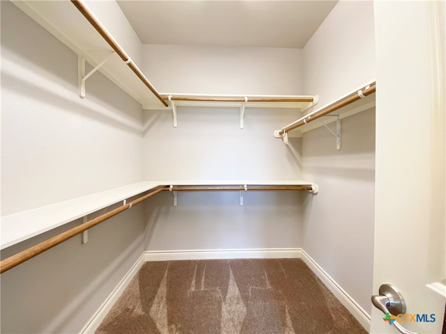 414 Field Corn Ln, San Marcos, TX 78666 - walk in closet featuring dark carpet