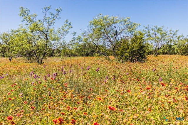 13.5AC County Road 3300, Kempner TX, 76539 land for sale