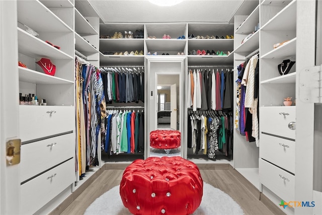 walk in closet featuring light hardwood / wood-style floors