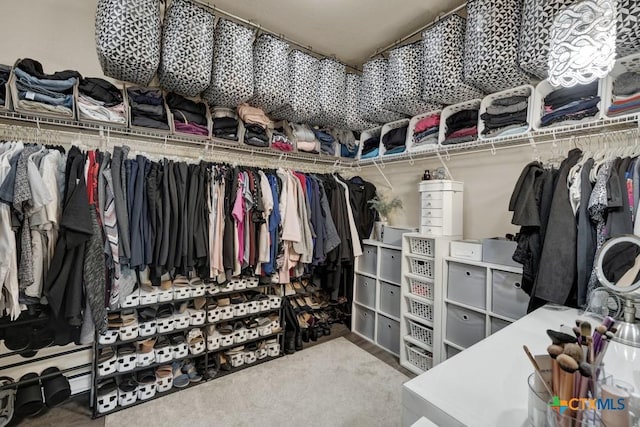 view of spacious closet