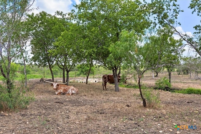 view of landscape featuring a rural view