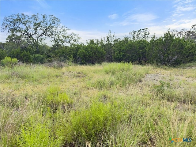 110 Enigma Ave, Spring Branch, TX 78070 - photo 6