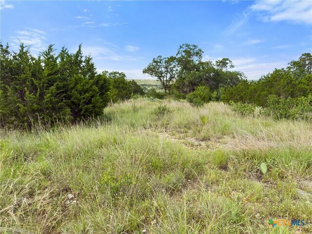 110 Enigma Ave, Spring Branch, TX 78070 - photo 5