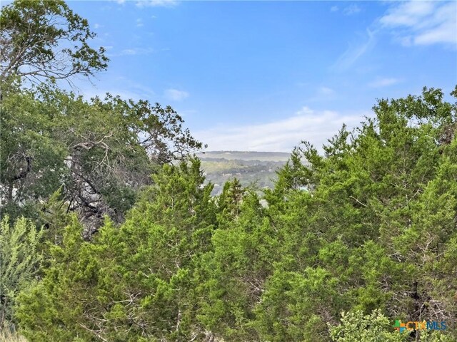 110 Enigma Ave, Spring Branch, TX 78070 - photo 3