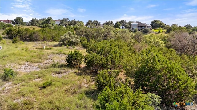 110 Enigma Ave, Spring Branch, TX 78070 - photo 12