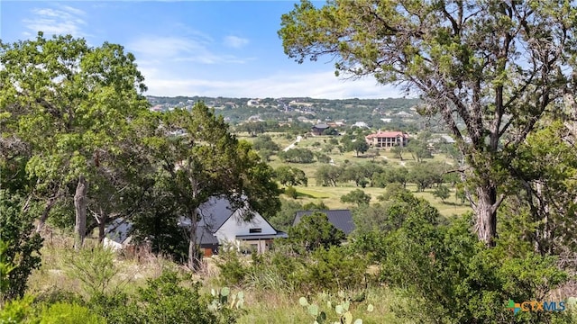 110 Enigma Ave, Spring Branch, TX 78070 - photo 2