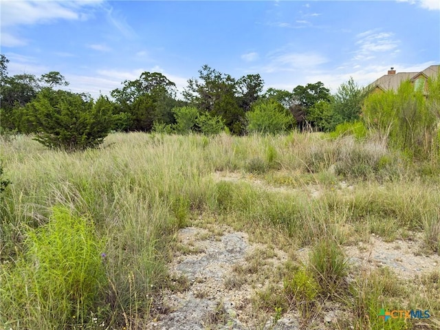 110 Enigma Ave, Spring Branch, TX 78070 - photo 8