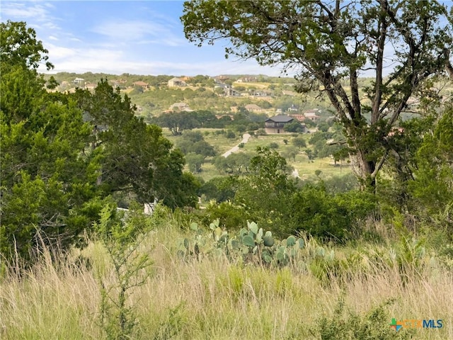 110 Enigma Ave, Spring Branch, TX 78070 - photo 1