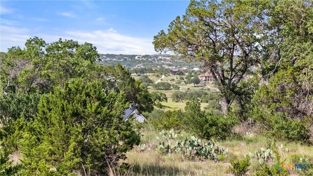 110 Enigma Ave, Spring Branch, TX 78070 - photo 9