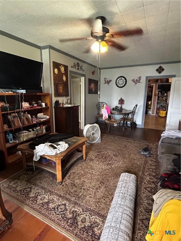 1511 E Constitution St, Victoria, TX 77901 - living room with a ceiling fan, wood finished floors, and ornamental molding
