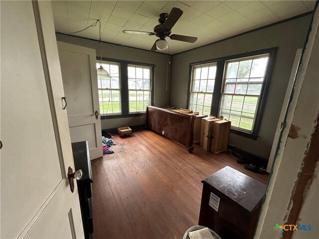 1511 E Constitution St, Victoria, TX 77901 - office featuring hardwood / wood-style flooring and a ceiling fan