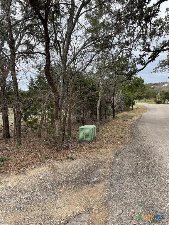 Listing photo 3 for 2 Cedar Ct, Wimberley TX 78676