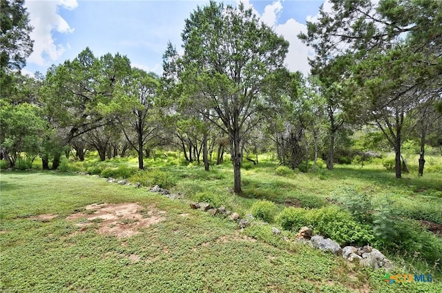 63 Hunters Point Dr, New Braunfels, TX 78132 - view of yard