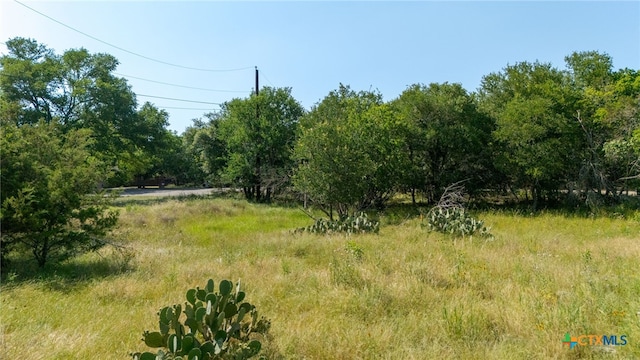 9 Dog Wood Ct Unit 5, 7, Belton, TX 76513
