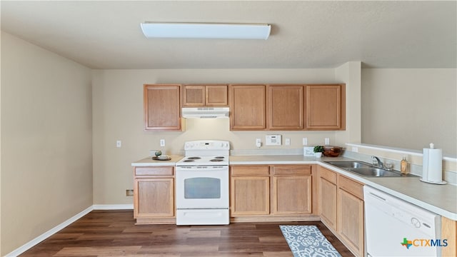 kitchen with dark wood-type flooring, white appliances, sink, and light brown cabinets