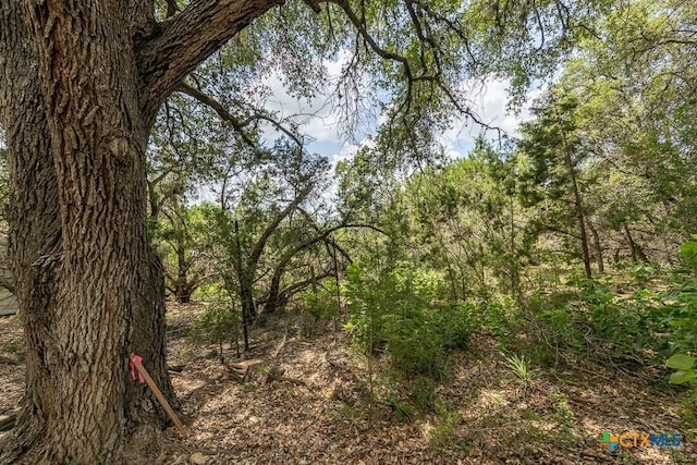 162 Scarlet Ct, Canyon Lake, TX 78133 - photo 12