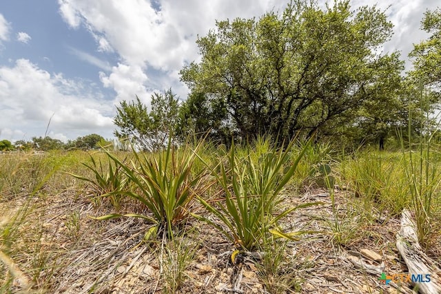 162 Scarlet Ct, Canyon Lake, TX 78133 - photo 6
