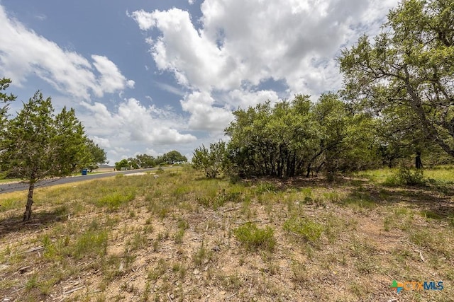 162 Scarlet Ct, Canyon Lake, TX 78133 - photo 5
