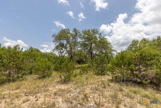 162 Scarlet Ct, Canyon Lake, TX 78133 - photo 10