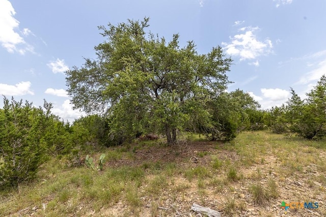 162 Scarlet Ct, Canyon Lake, TX 78133 - photo 9