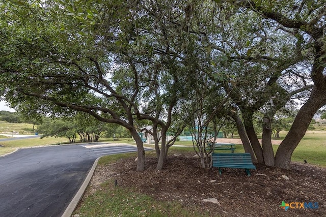 162 Scarlet Ct, Canyon Lake, TX 78133 - photo 16