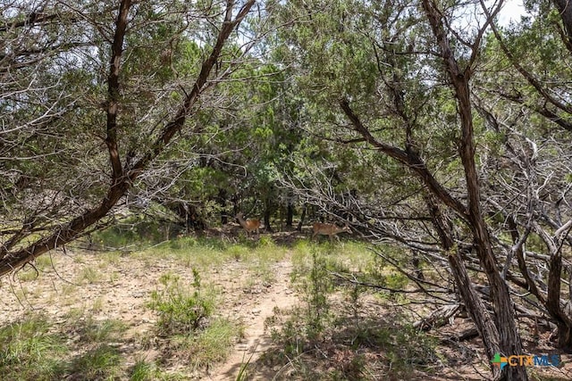 162 Scarlet Ct, Canyon Lake, TX 78133 - photo 11