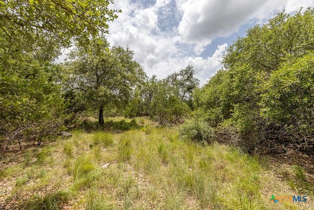 162 Scarlet Ct, Canyon Lake, TX 78133 - photo 7