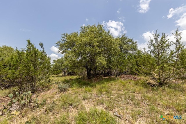 162 Scarlet Ct, Canyon Lake, TX 78133 - photo 8