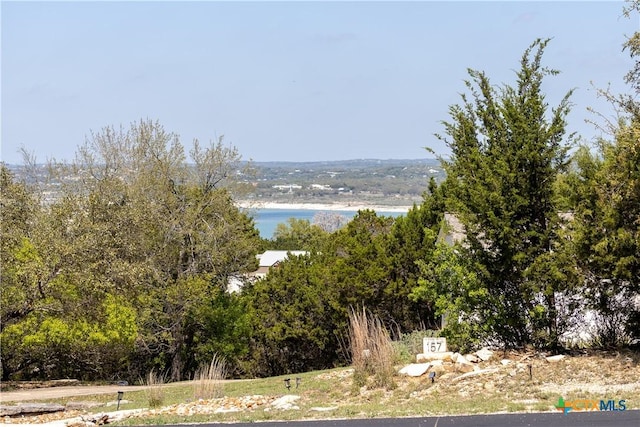 162 Scarlet Ct, Canyon Lake, TX 78133 - photo 2