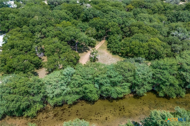 aerial view with a forest view