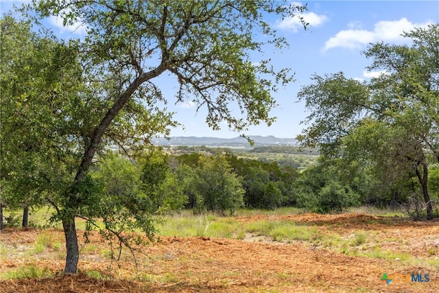 2160 Andalusia, Canyon Lake, TX 78133