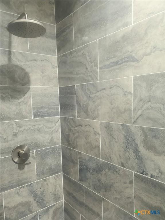 room details with tiled shower