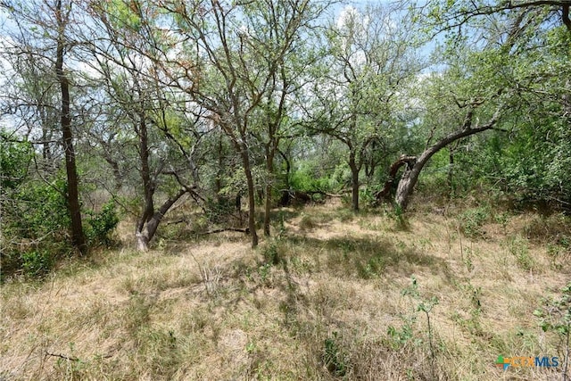 TBD Santa Clara Rd, Seguin, TX 78155 - photo 9