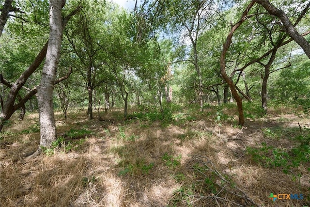 TBD Santa Clara Rd, Seguin, TX 78155 - photo 10