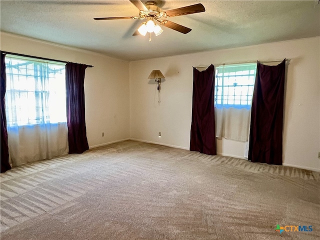 empty room featuring light colored carpet and a healthy amount of sunlight