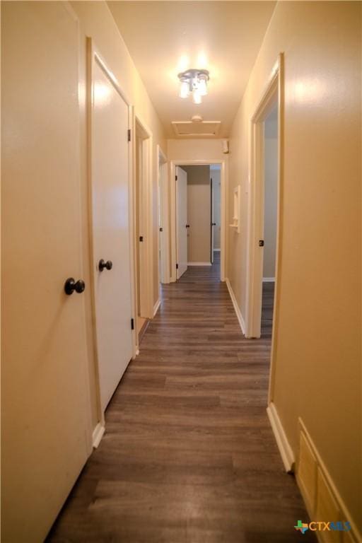 hall featuring dark hardwood / wood-style floors