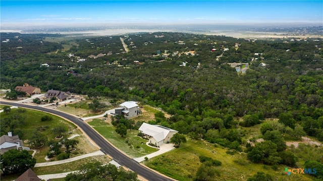 1699 Lake Ridge Blvd, Canyon Lake, TX 78133 - photo 24