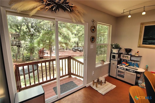 doorway featuring plenty of natural light