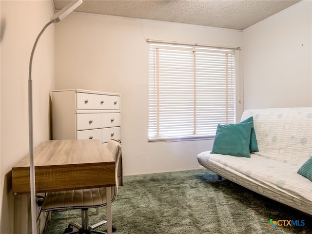 interior space featuring carpet and a textured ceiling