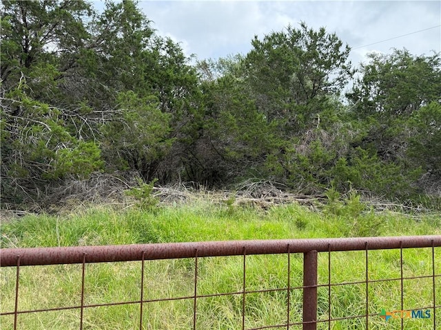 TBD Salado Oaks St, Salado, TX 76571 - photo 4