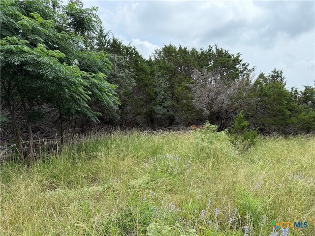 TBD Salado Oaks St, Salado, TX 76571 - photo 6