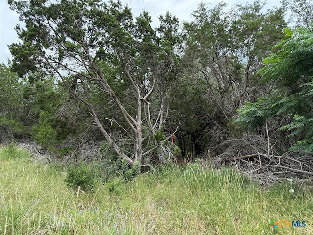 TBD Salado Oaks St, Salado, TX 76571 - photo 5