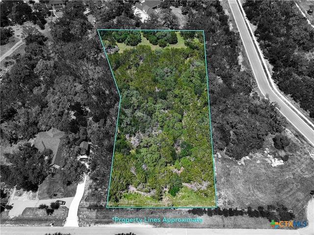 TBD Salado Oaks St, Salado, TX 76571 - photo 1