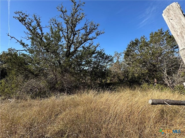 Listing photo 3 for TBD Oakwood Loop, San Marcos TX 78666