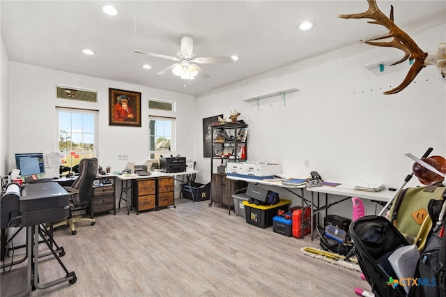 office space with ceiling fan and light wood-type flooring