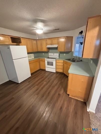 4411 Secretariat Dr, Killeen, TX 76549 - photo 3