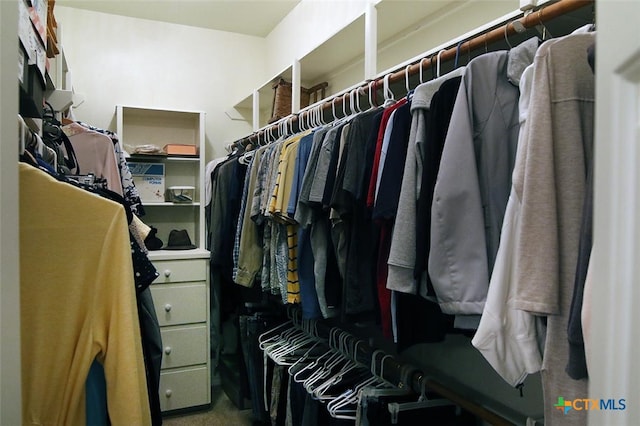 walk in closet with carpet floors