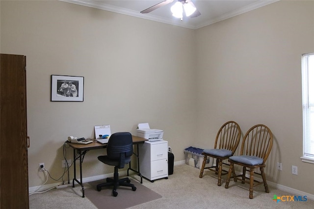 office with ceiling fan, light carpet, and crown molding