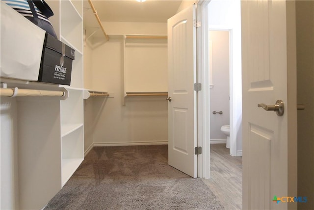 2734 Rock Rd, Troy, TX 76579 - spacious closet with carpet floors
