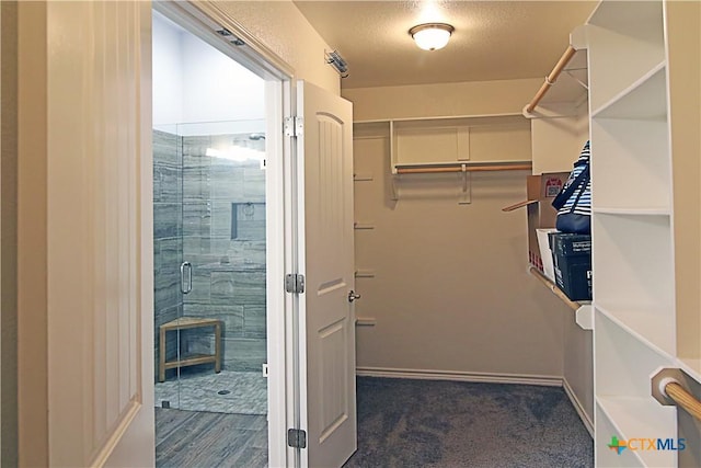 2734 Rock Rd, Troy, TX 76579 - walk in closet featuring carpet
